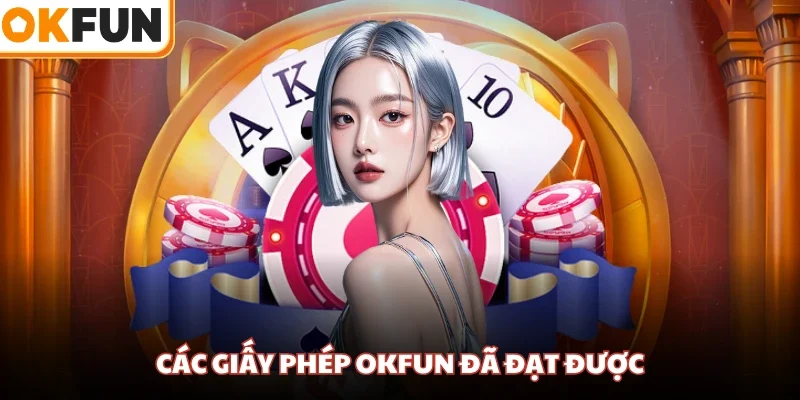 Các giấy phép OKFUN đã đạt được