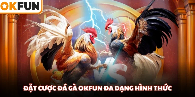 Đặt cược đá gà OKFUN đa dạng hình thức